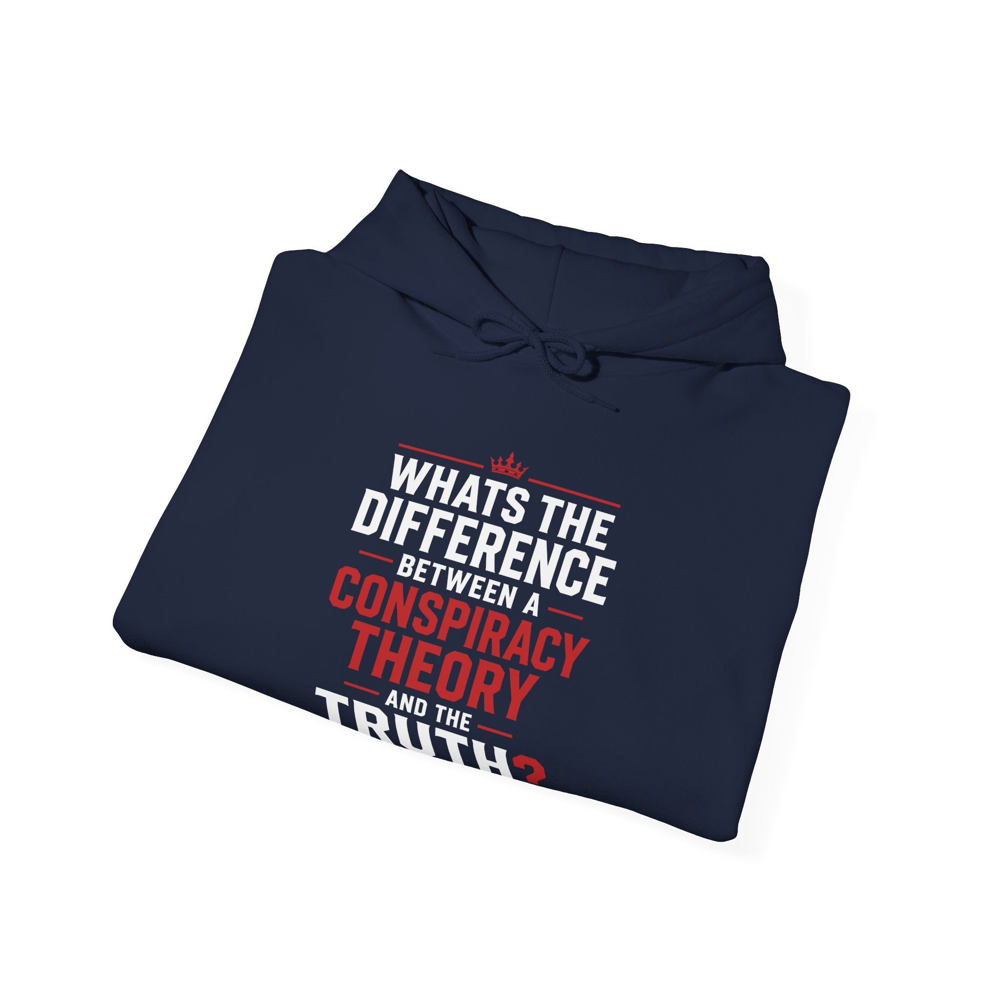 Conspiracy vs Truth Hoodie – Front Quote & “6 Months.” Back Graphic