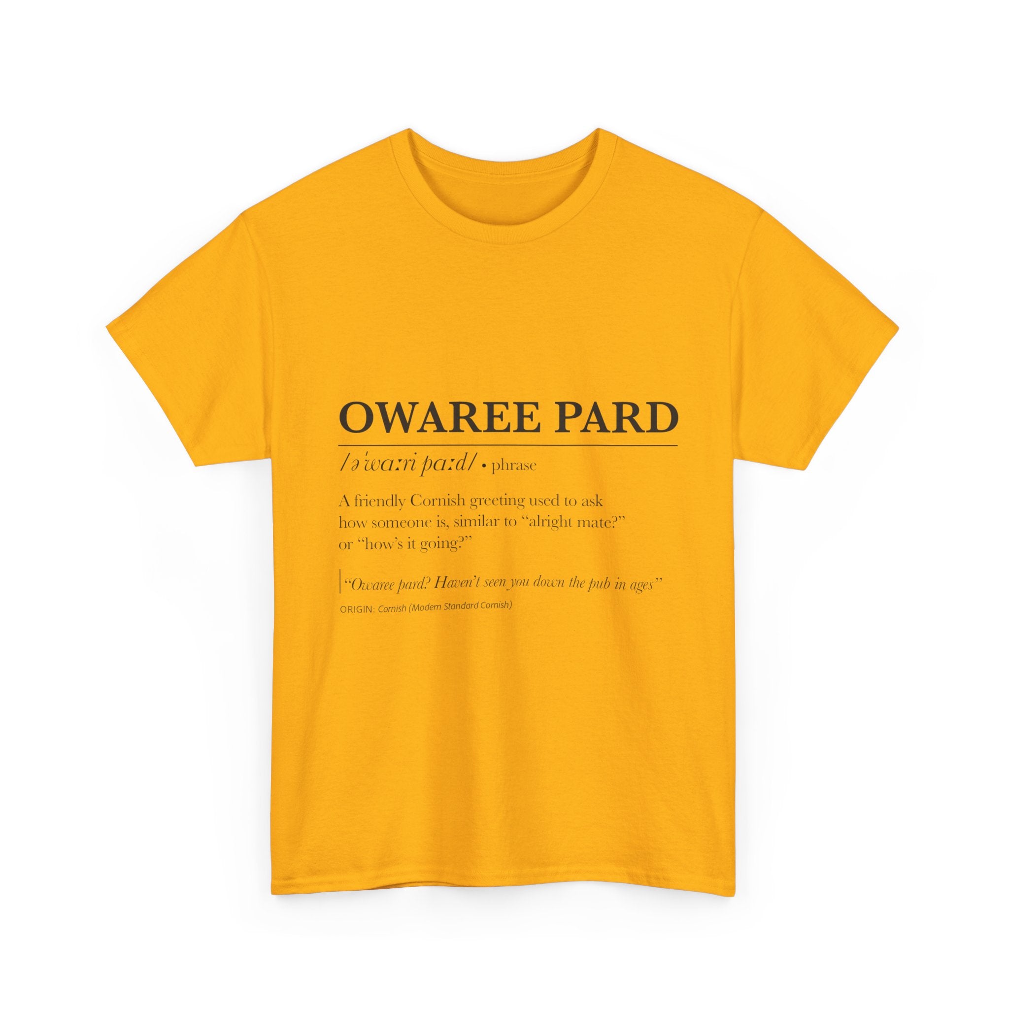 'Owaree Pard - IKent Membr' Cornish Dictionary unisex Tee