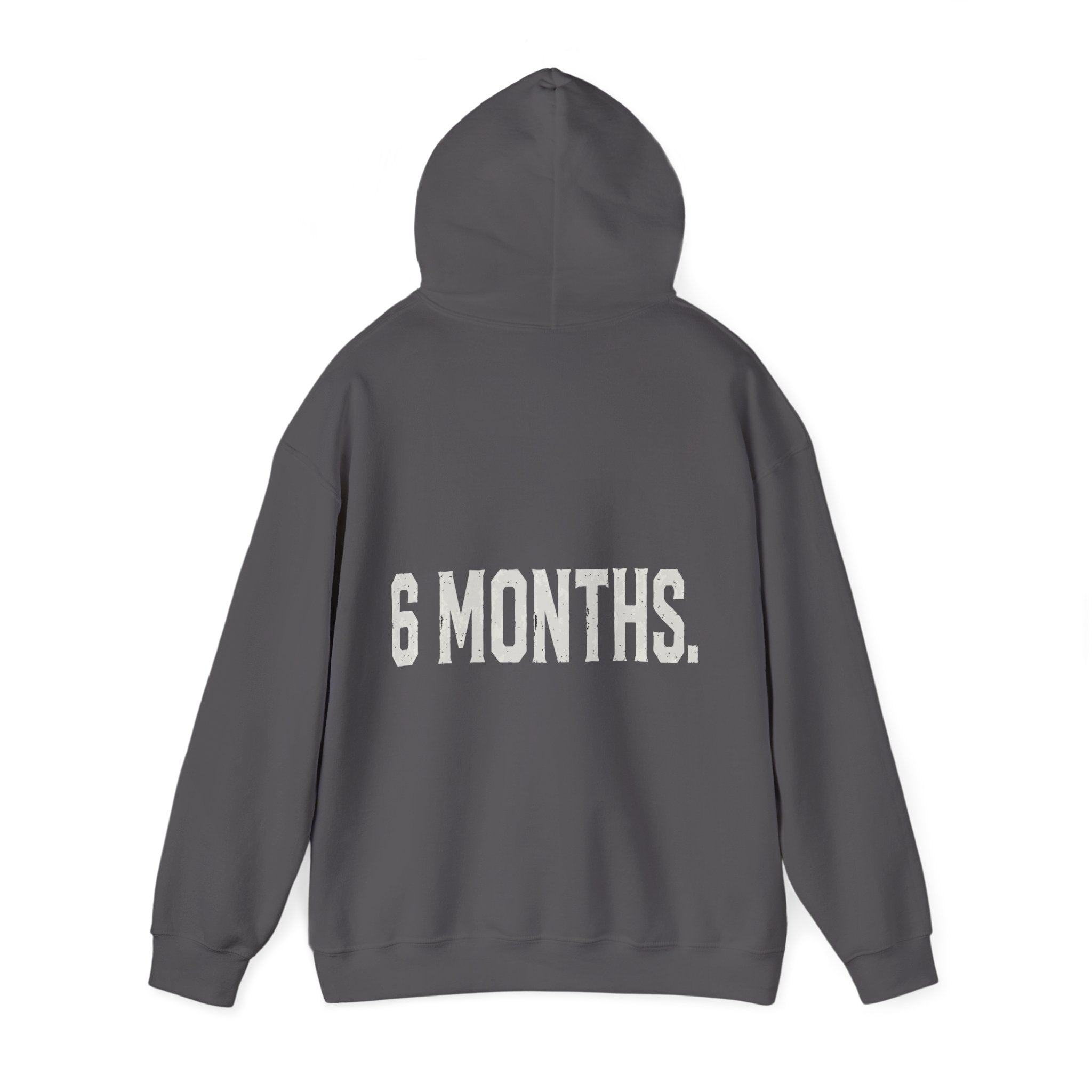 Conspiracy vs Truth Hoodie – Front Quote & “6 Months.” Back Graphic