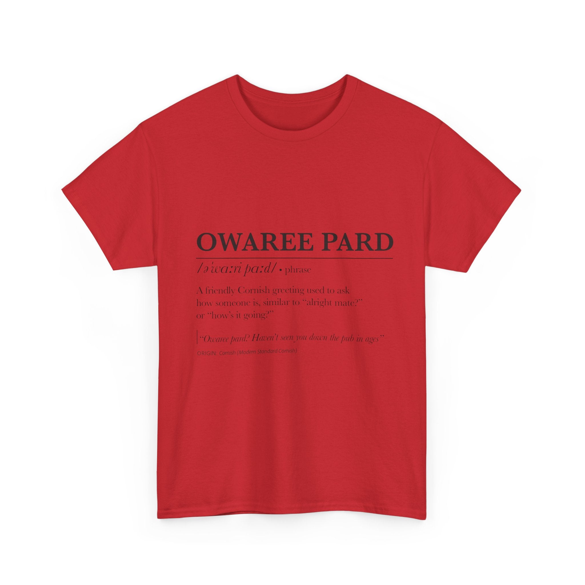 'Owaree Pard - IKent Membr' Cornish Dictionary unisex Tee