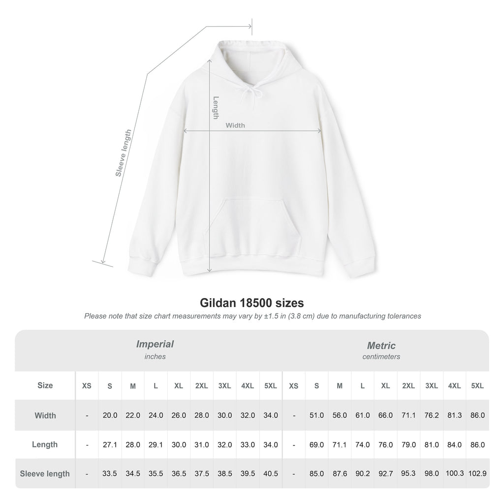 Conspiracy vs Truth Hoodie – Front Quote & “6 Months.” Back Graphic