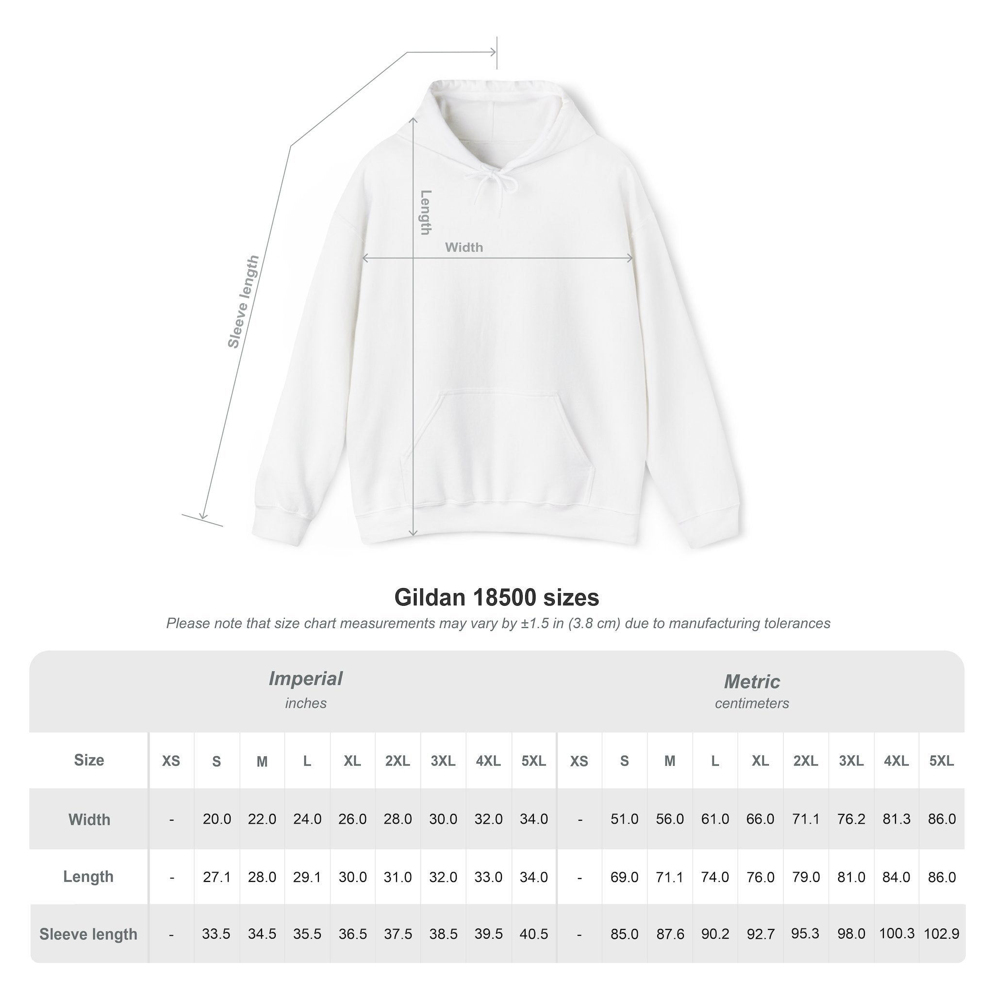 Conspiracy vs Truth Hoodie – Front Quote & “6 Months.” Back Graphic