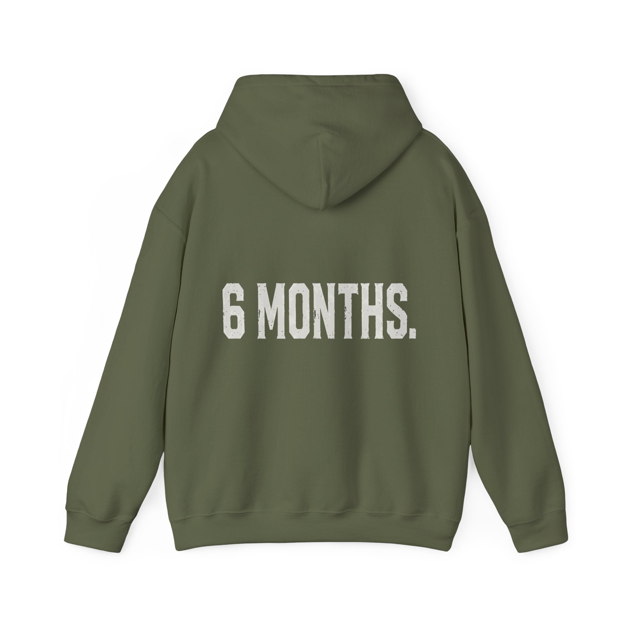 Conspiracy vs Truth Hoodie – Front Quote & “6 Months.” Back Graphic