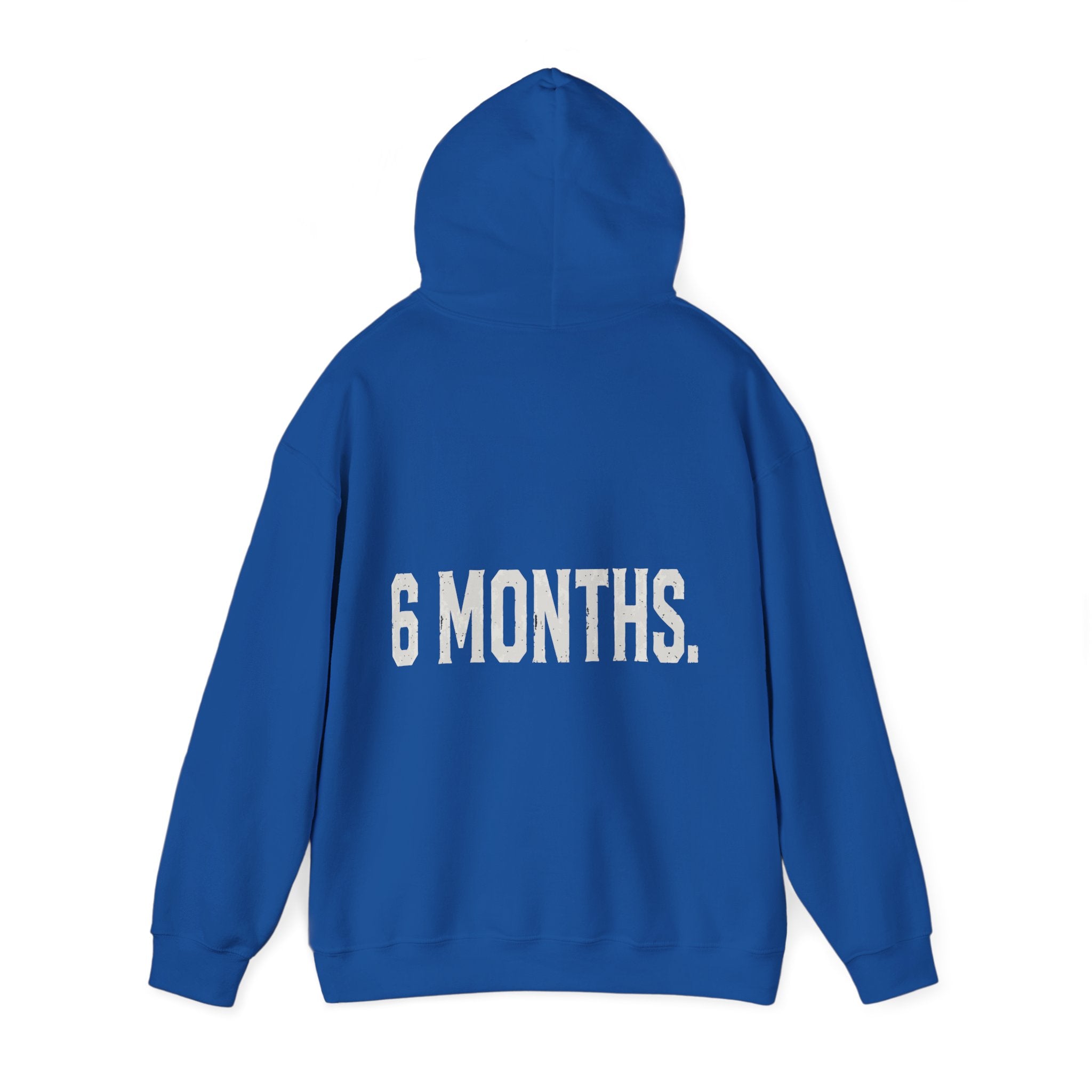 Conspiracy vs Truth Hoodie – Front Quote & “6 Months.” Back Graphic