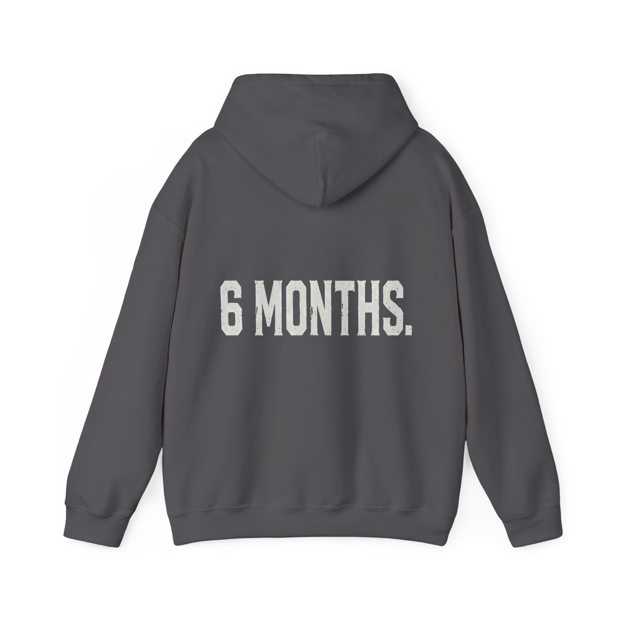 Conspiracy vs Truth Hoodie – Front Quote & “6 Months.” Back Graphic