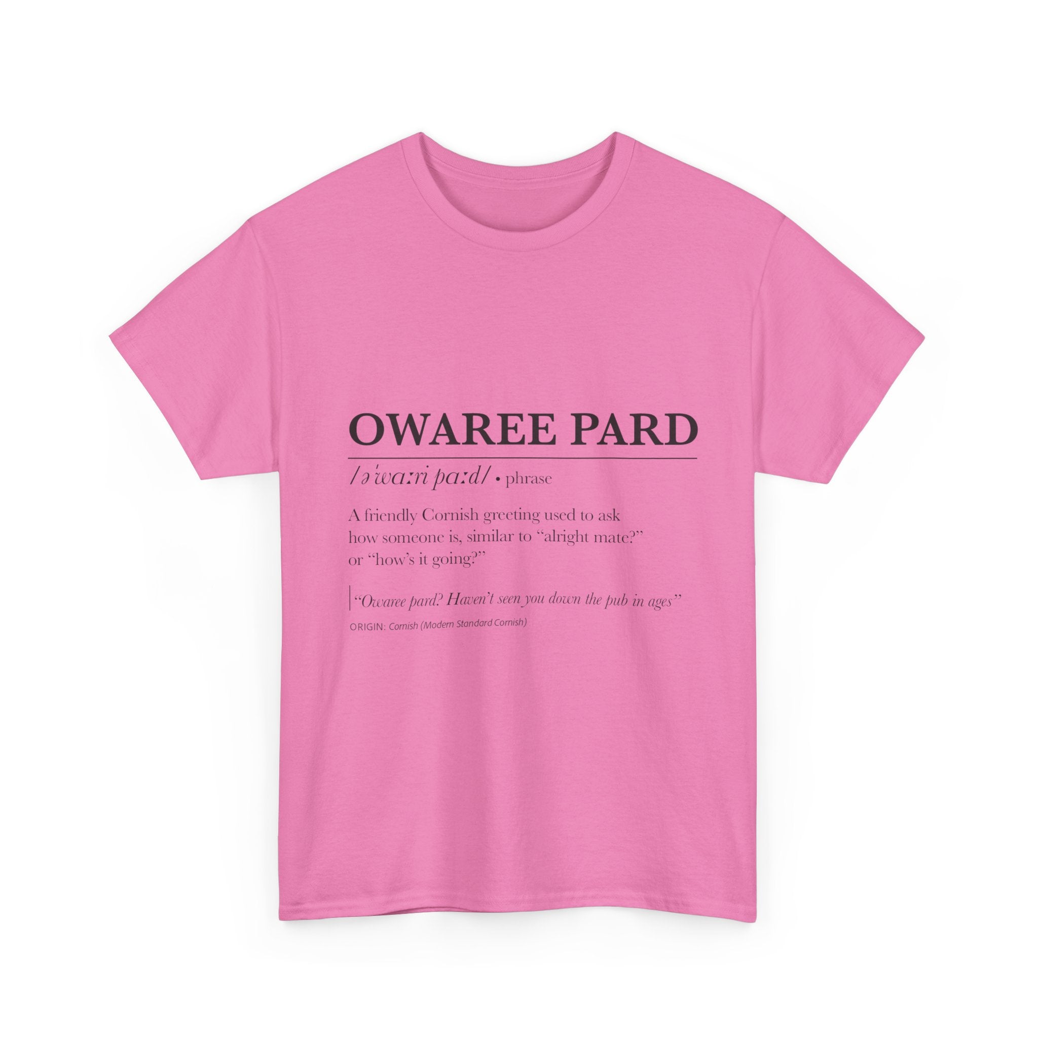 'Owaree Pard - IKent Membr' Cornish Dictionary unisex Tee