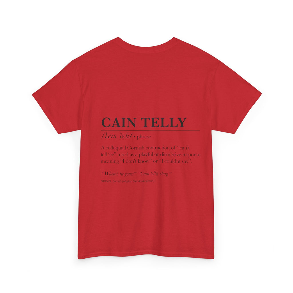 T-Shirt — 'Wasson Shag' Cornish Dictionary Unisex Tee