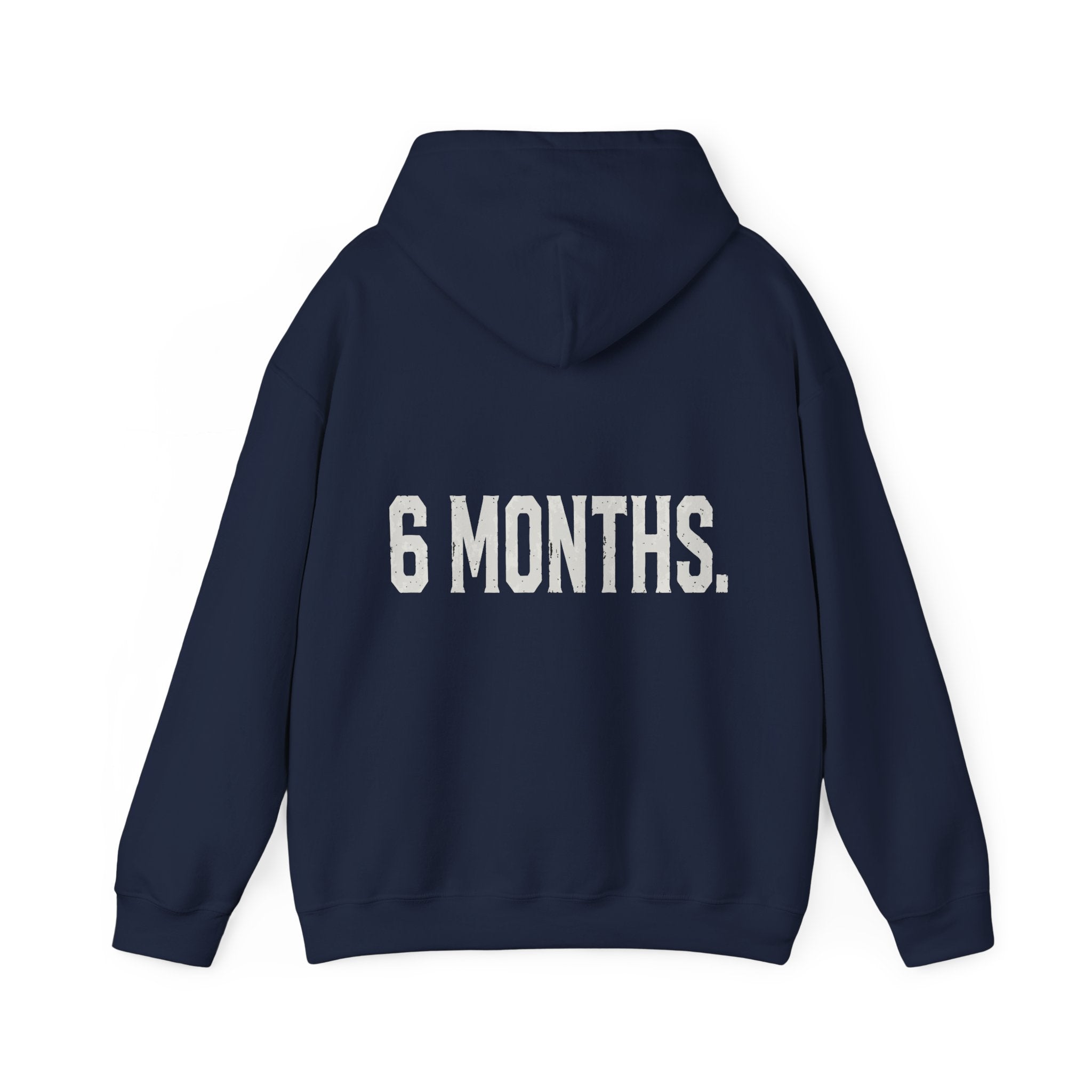 Conspiracy vs Truth Hoodie – Front Quote & “6 Months.” Back Graphic